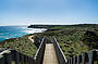 Two Day Great Ocean Road & Phillip Island Wildlife Adventure with Koala Photo