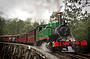 1 Day Puffing Billy, Kangaroos, Koalas and Penguins Tour